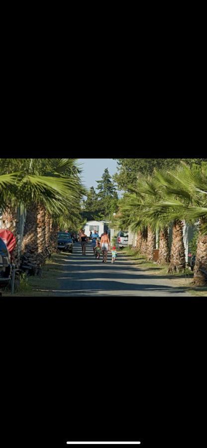Camping 4 Etoiles Le Bosc Saint Cyrpien Mobil Home Екстериор снимка